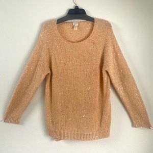 Chico’s sparkle sweater
